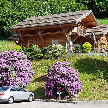 Les Chalets Des Chatelmines ラ・ブレス エクステリア 写真