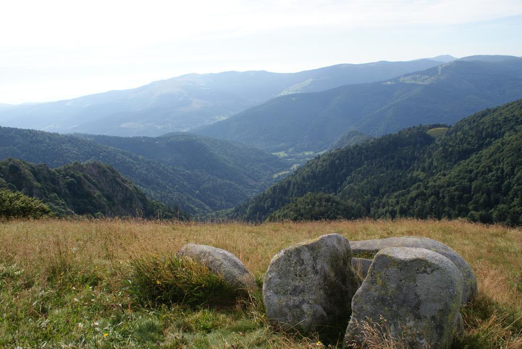 Les Chalets Des Chatelmines ラ・ブレス エクステリア 写真