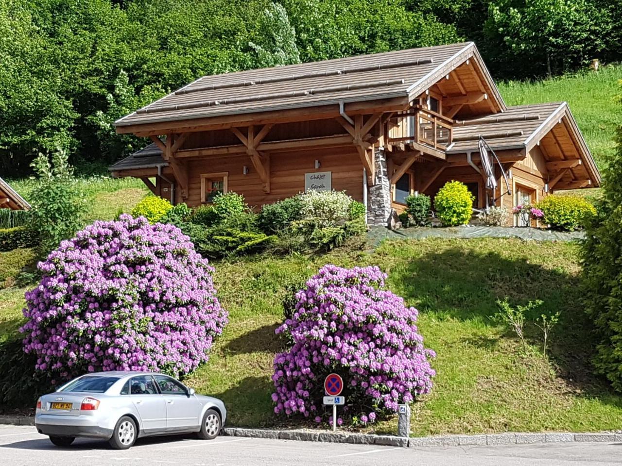 Les Chalets Des Chatelmines ラ・ブレス エクステリア 写真